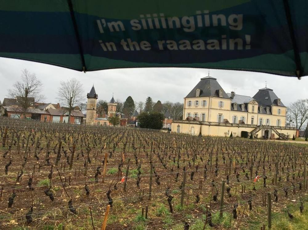 Chateau & Spa De La Cueillette Meursault Exteriér fotografie